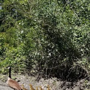 Meet your Posher, Loyda